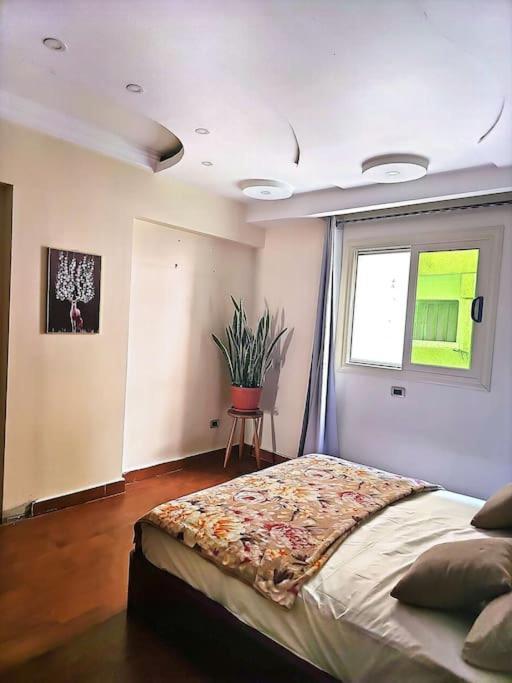Stylish Luxury Furnished Apartment *