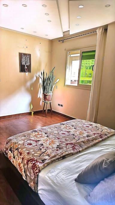 Apartment Stylish Luxury Furnished *