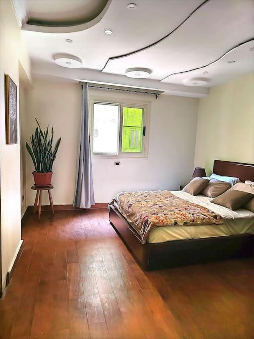 Stylish Luxury Furnished Apartment Cairo
