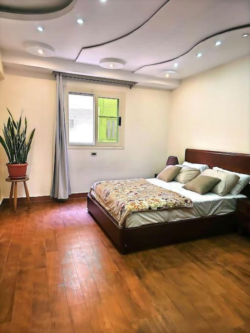 Stylish Luxury Furnished Cairo